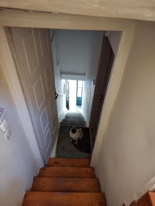 Mary'S Bright Apartment - Corfu Old Town מראה חיצוני תמונה